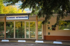 Clinique Vétérinaire de Château-Gaillard