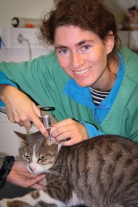 Dr Morgane Le Cousteur