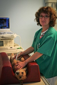 Dr Myriam Labbaye