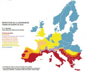 Répartition de la leishmaniose